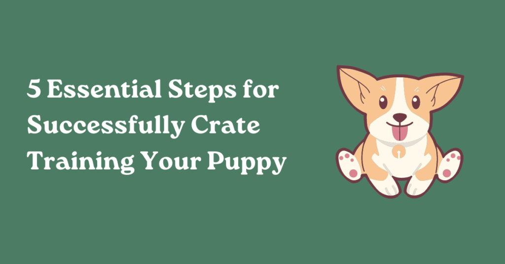Puppy Crate Training Schedule: A How-To Guide - Diggs