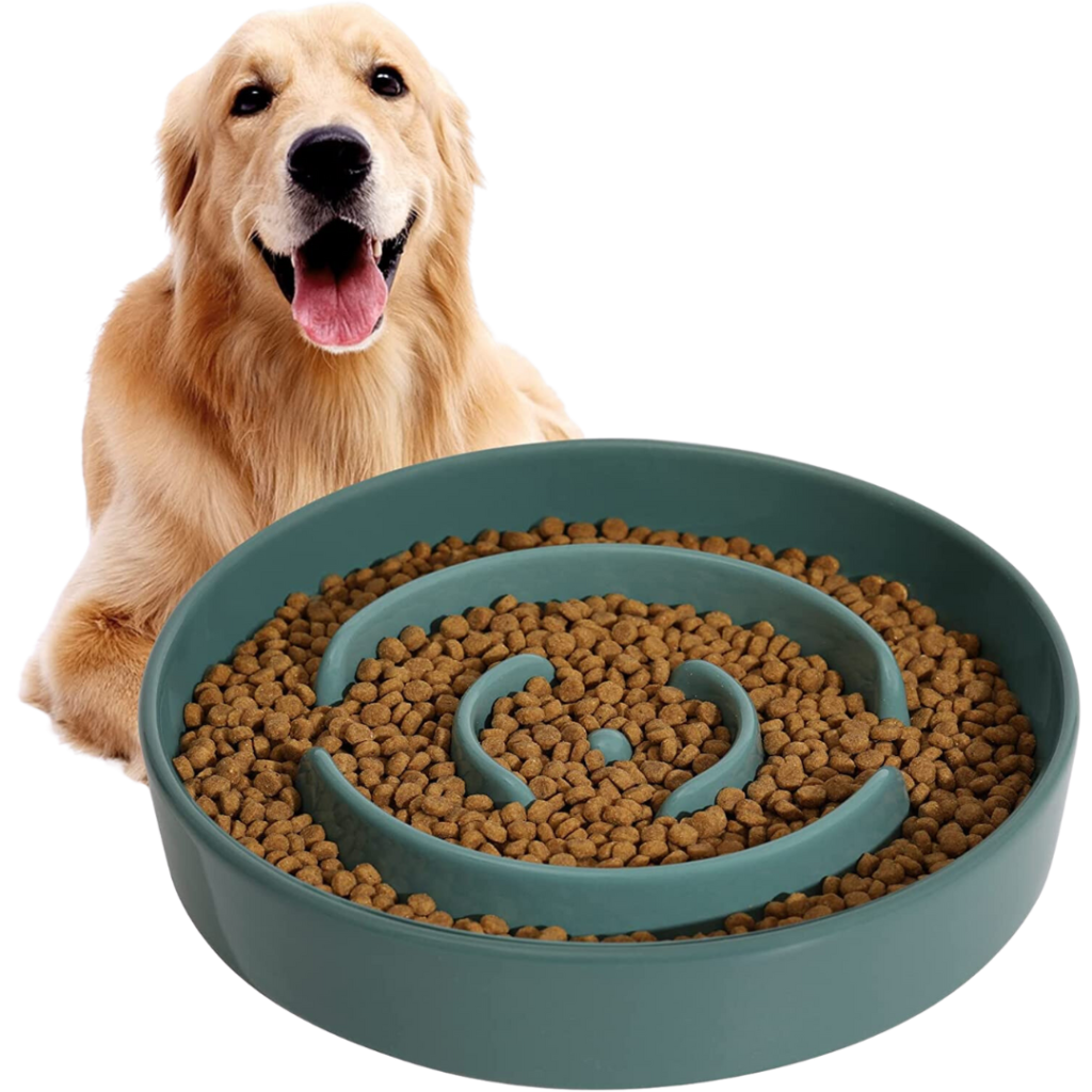 Havniva Ceramic Slow Feeder Dog Bowl
