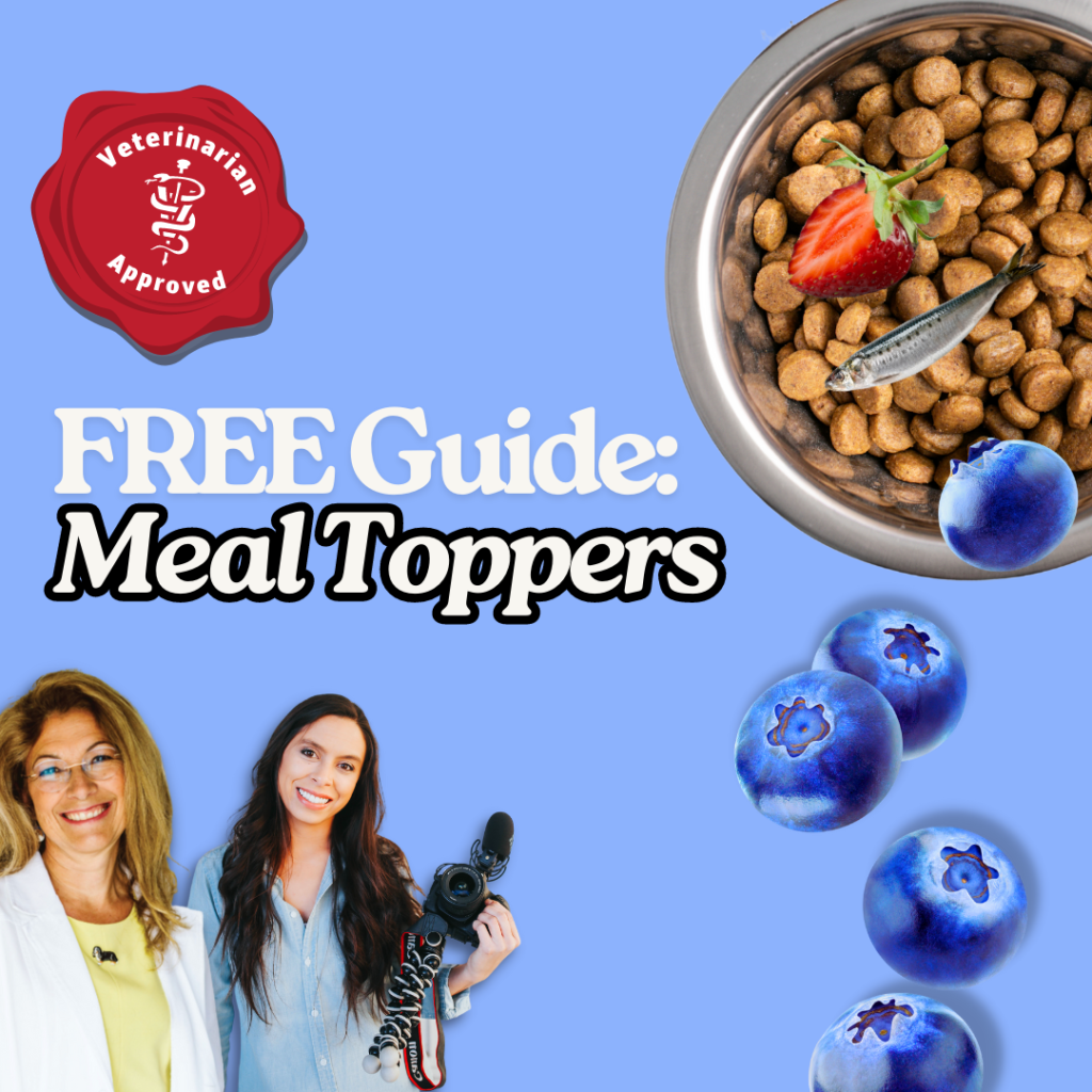 Meal Topper Guide (Vet Approved!) - digital download
