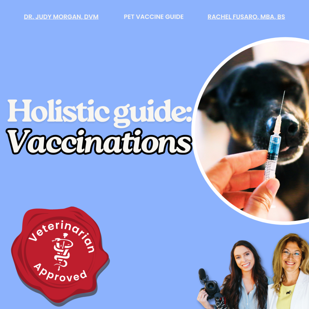 Vaccine Guide (Vet Approved) - digital download