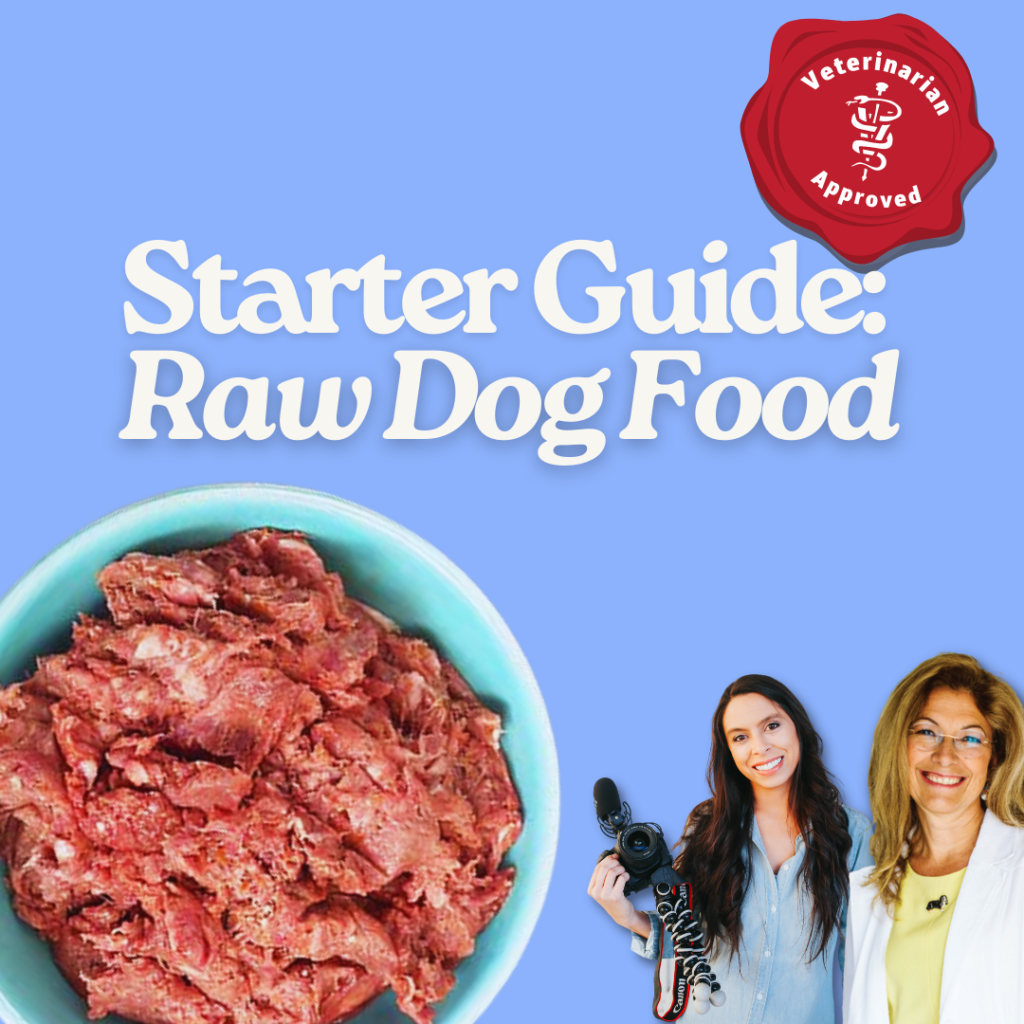 https://www.rachelfusaro.com/wp-content/uploads/2023/05/raw-dog-food-starter-guide-1024x1024.png