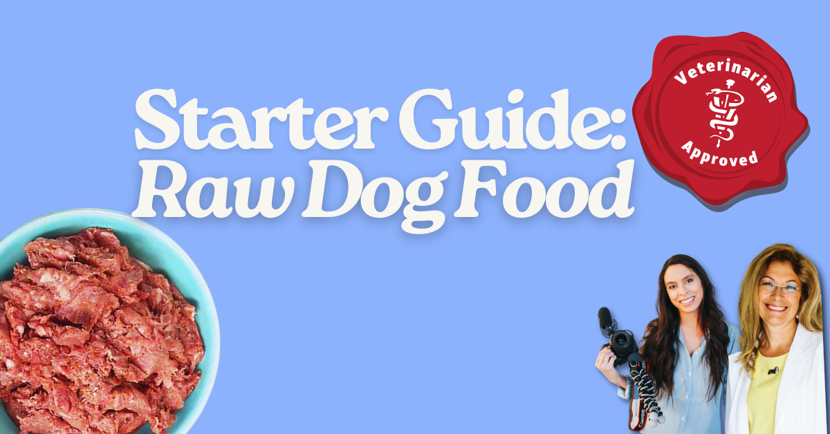 https://www.rachelfusaro.com/wp-content/uploads/2023/05/raw-dog-food-starter-guide-feature.png