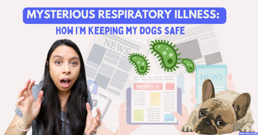 Mystery Respiratory Dog Illness